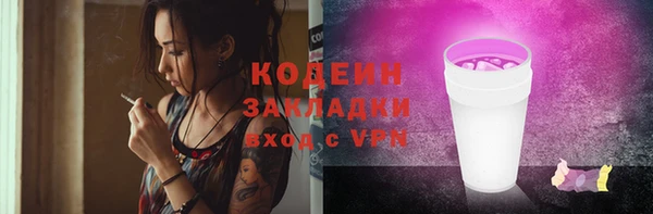 прущие грибы Абинск
