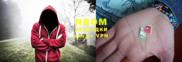 прущие грибы Абинск