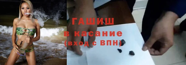 прущие грибы Абинск