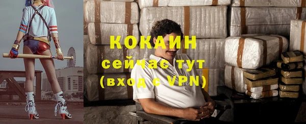 прущие грибы Абинск